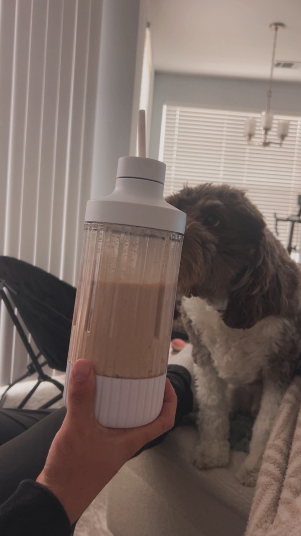 Beast Blender! So chic for a blender and comes in more colors than just white! 

#LTKfoodie