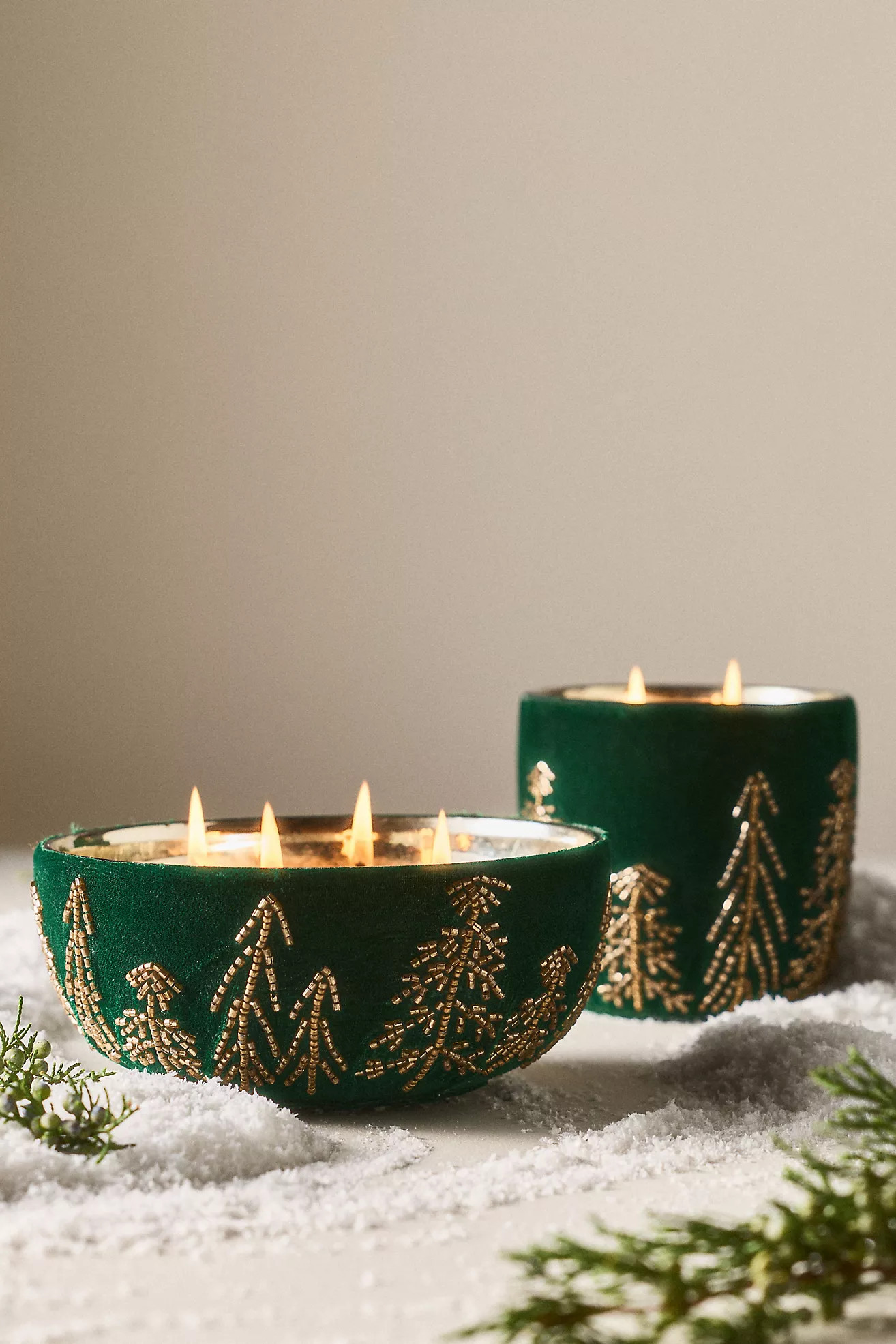 Velvet Forest Woody Juniper & Cedar Glass Candle | Anthropologie (US)