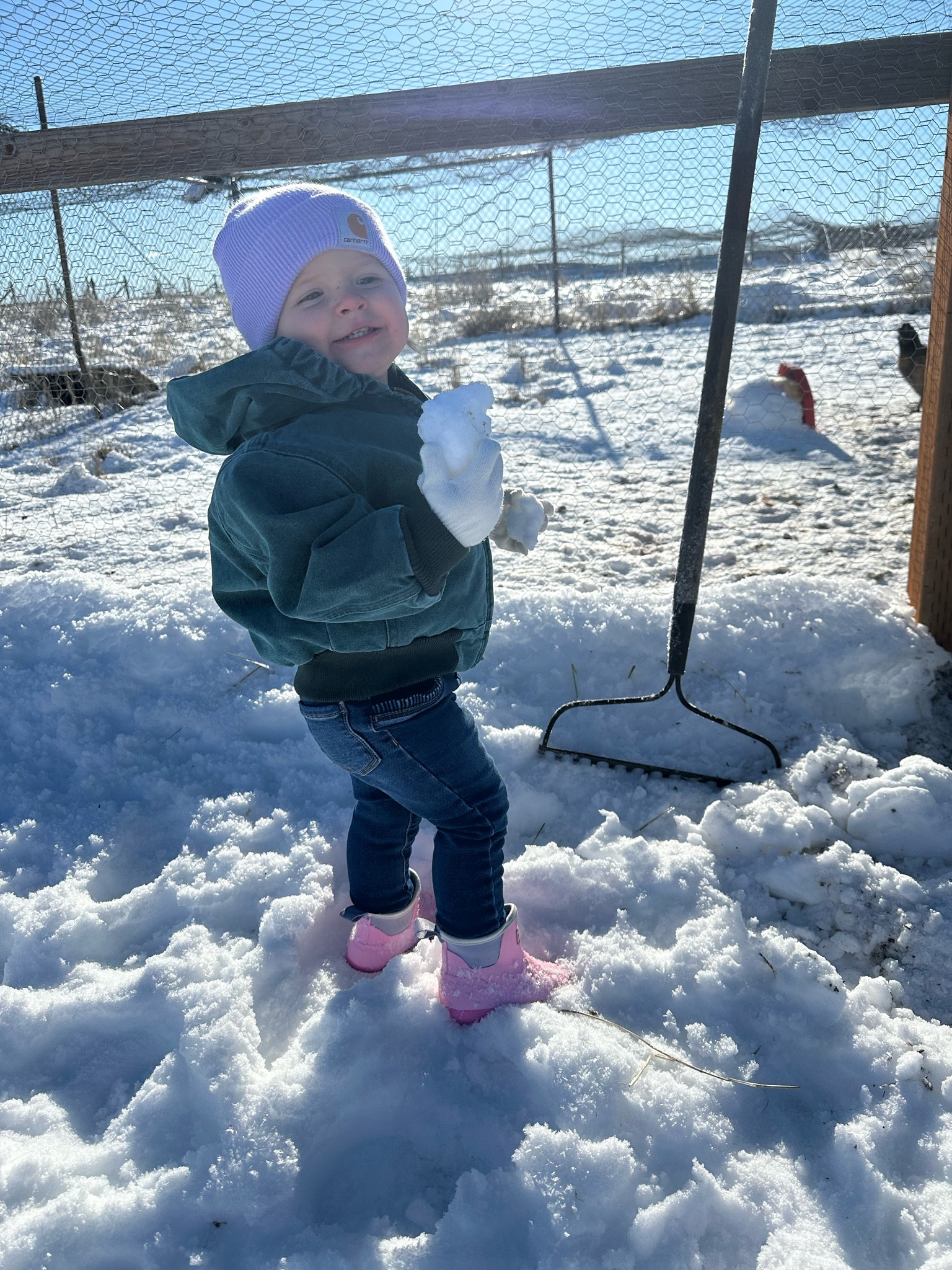 Out to feed her chickens this morning in her hunter toddler boots, vintage carhartt jacket & carhartt hat! 🐓🌾 I love seeing my babies in my old clothes 🫶

#LTKFamily #LTKKids