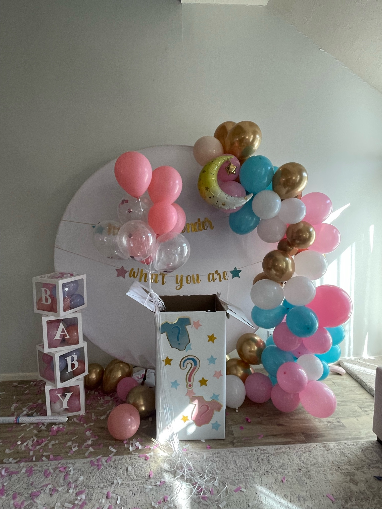 How we wonder what you are gender reveal decorations 

#LTKfamily #LTKparties #LTKbaby