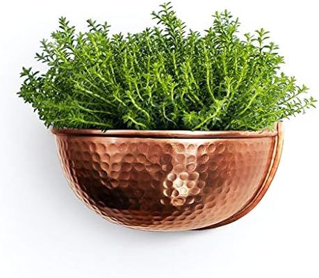 Wall Planter for Farmhouse Wall Decor | Hanging Planter Plant Pot for Indoor or Outdoor Plants| C... | Amazon (US)