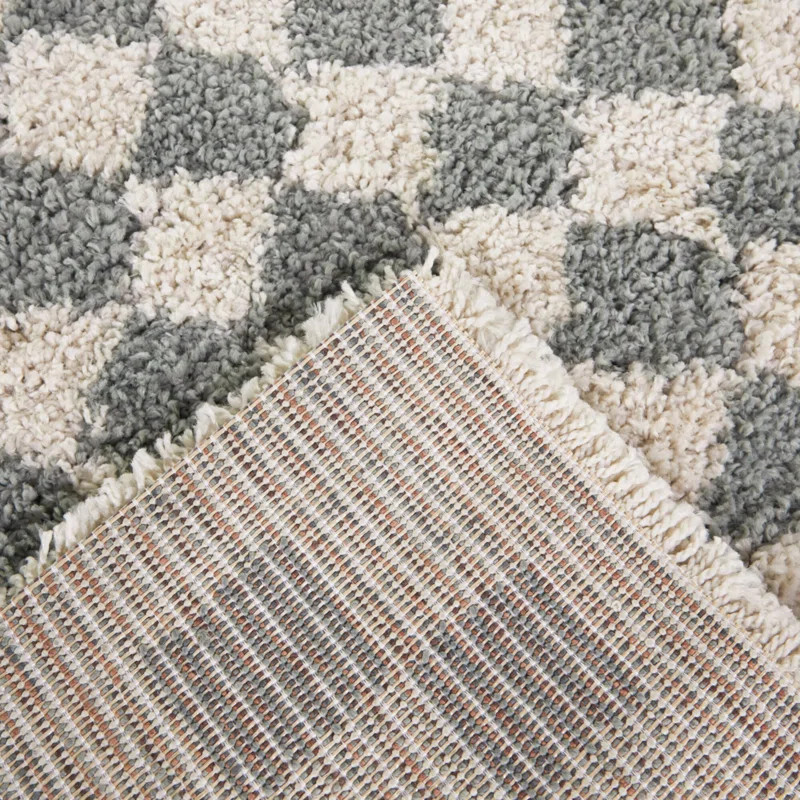 Aiylah Walker Checkered Sage/Cream Plush Shag Area Rug | Wayfair North America