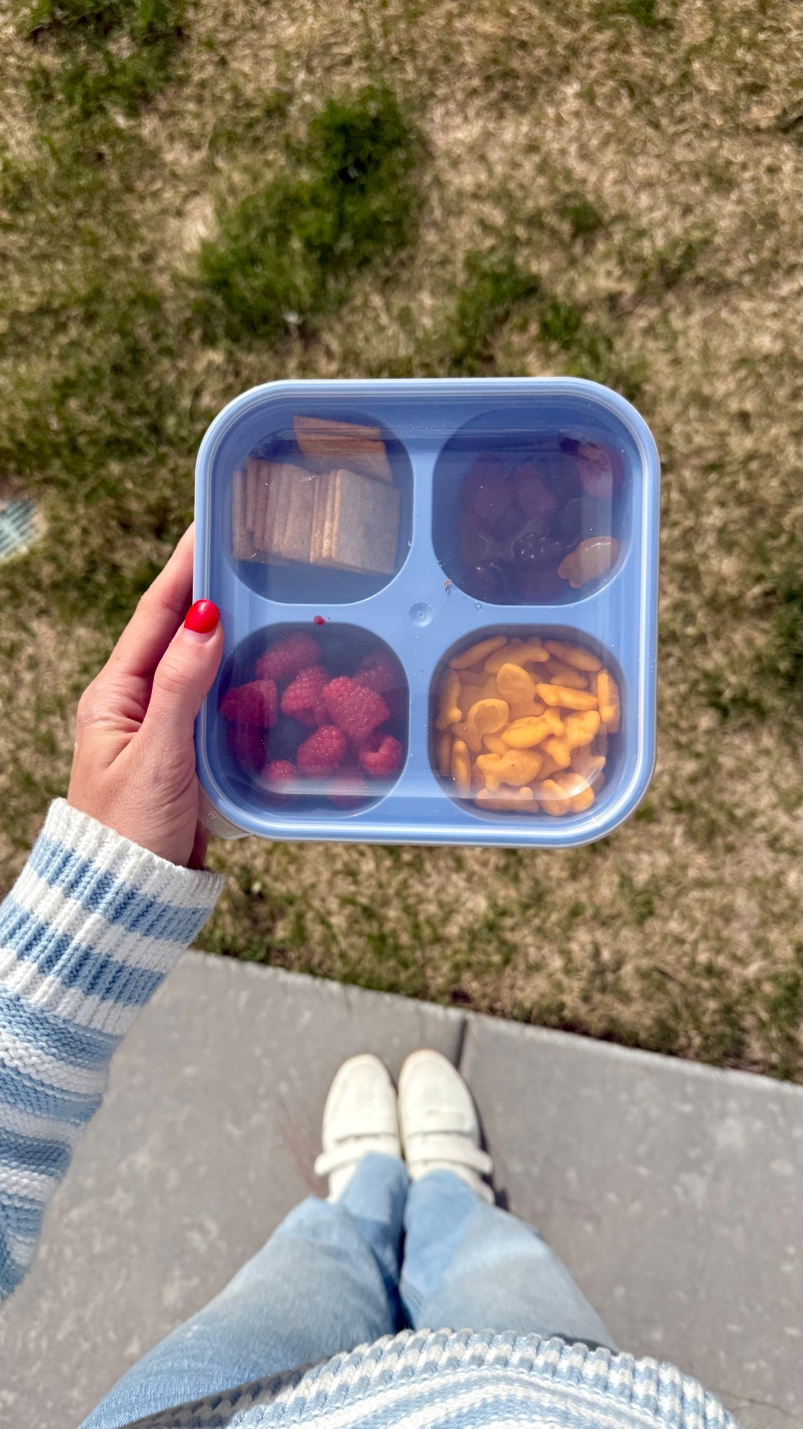 Kids snack container for on the go ✨

#LTKmomlife #LTKBaby #LTKKids