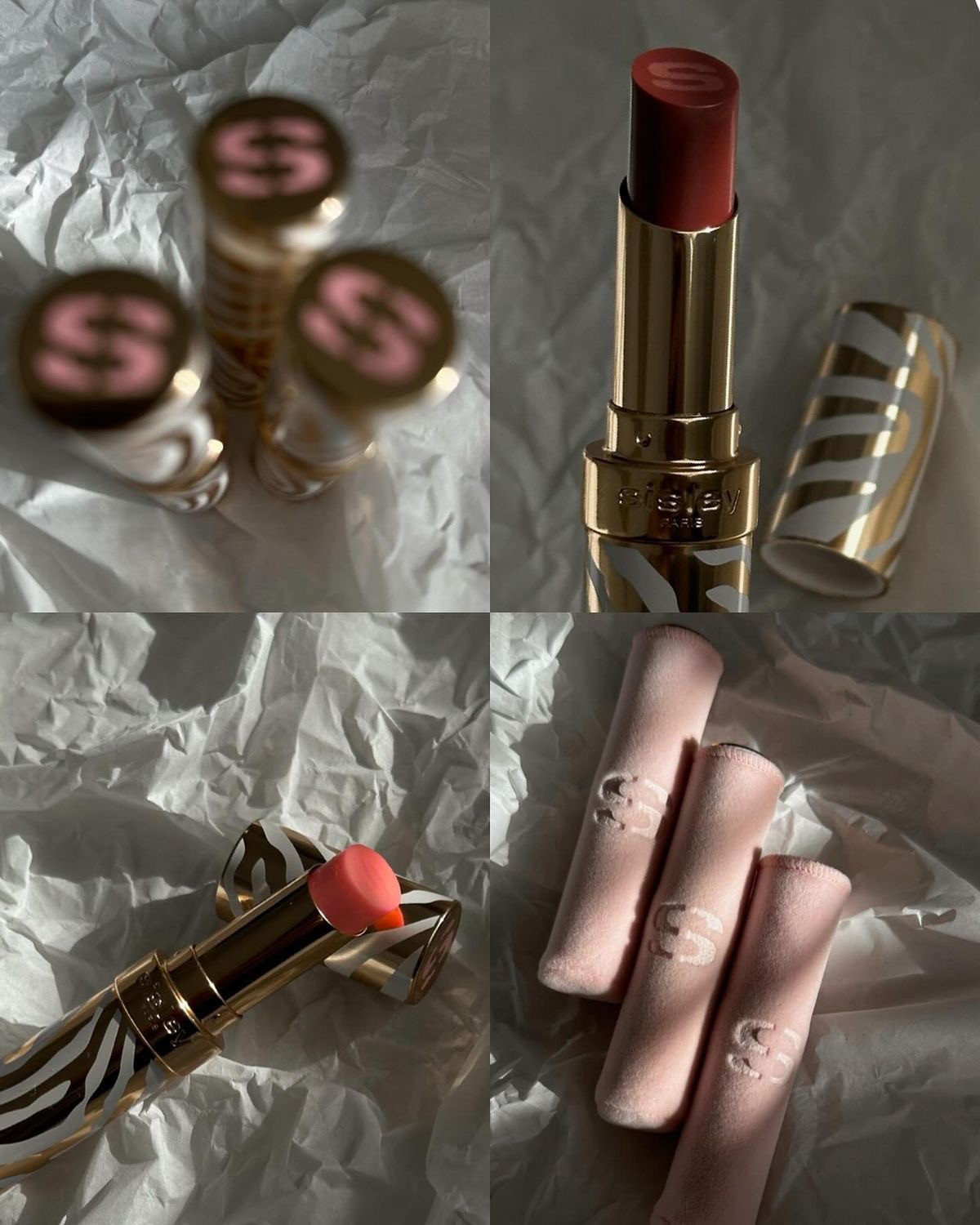 These babies ✨ #sisley 

#LTKbrasil #LTKbeleza