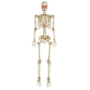 Search Results for skeleton at The Home Depot | The Home Depot