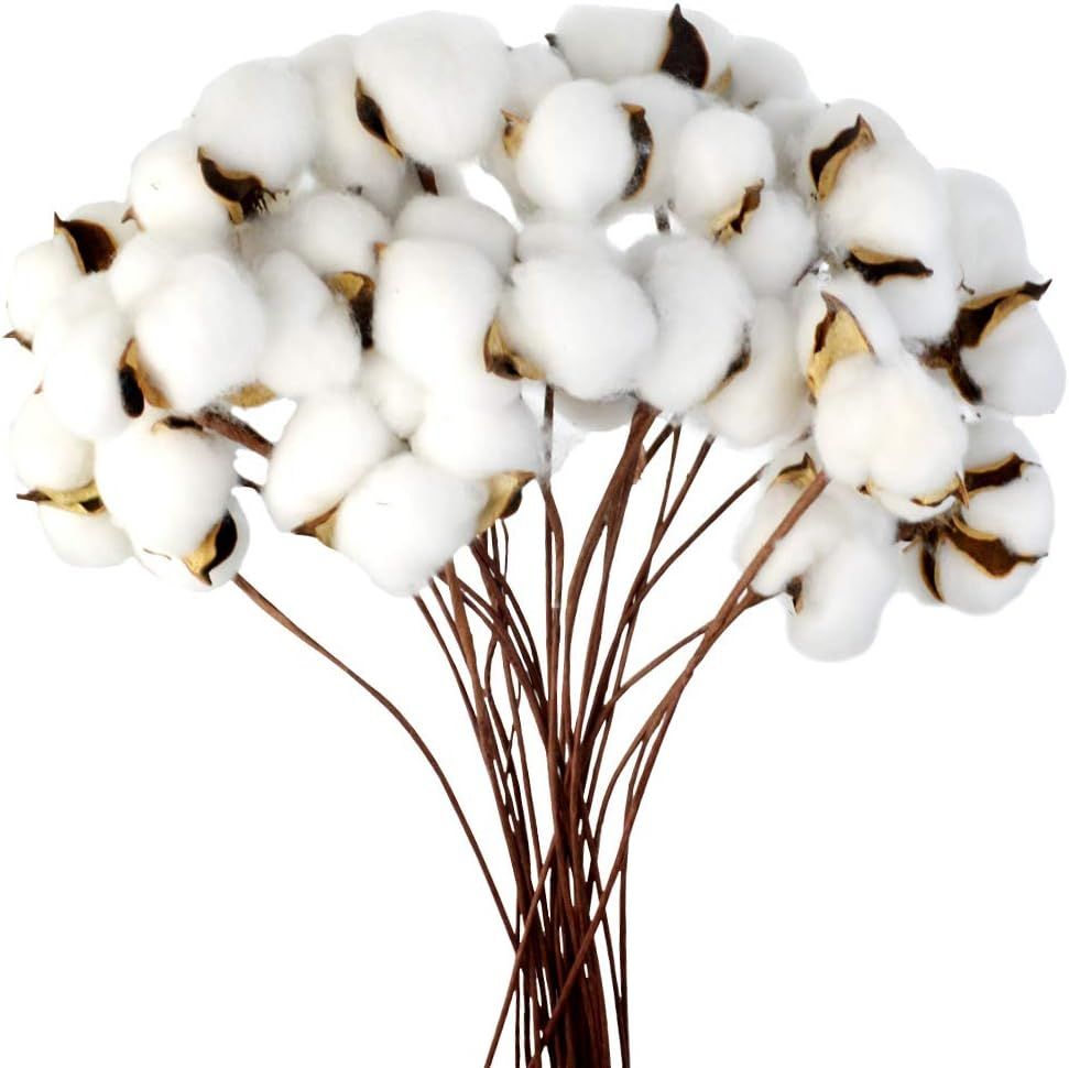 Topbuti 24 Pack Really Natural White Cotton Stems Dried Flower Branch for Fall Arrangements Farmh... | Amazon (CA)