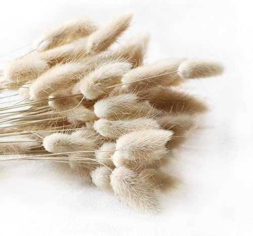 Natural Dried Lagurus ovatus 100 Pcs, Boho Home Decor Bouquet, Dried Bunny Tails Pampas for Dried... | Amazon (US)
