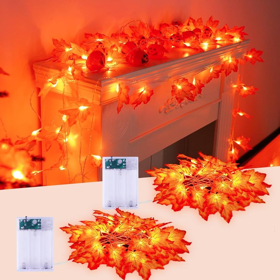 JMEXSUSS 2 Pack Thanksgiving Lights Indoor with Leaf, Total 22 FT 40 LED Fall Thanksgiving Lights... | Amazon (US)