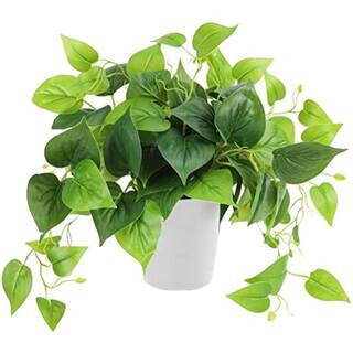3 in. H Green Artificial Pothos Plant with White Plastic Pot for Indoor Outdoor Decor | The Home Depot