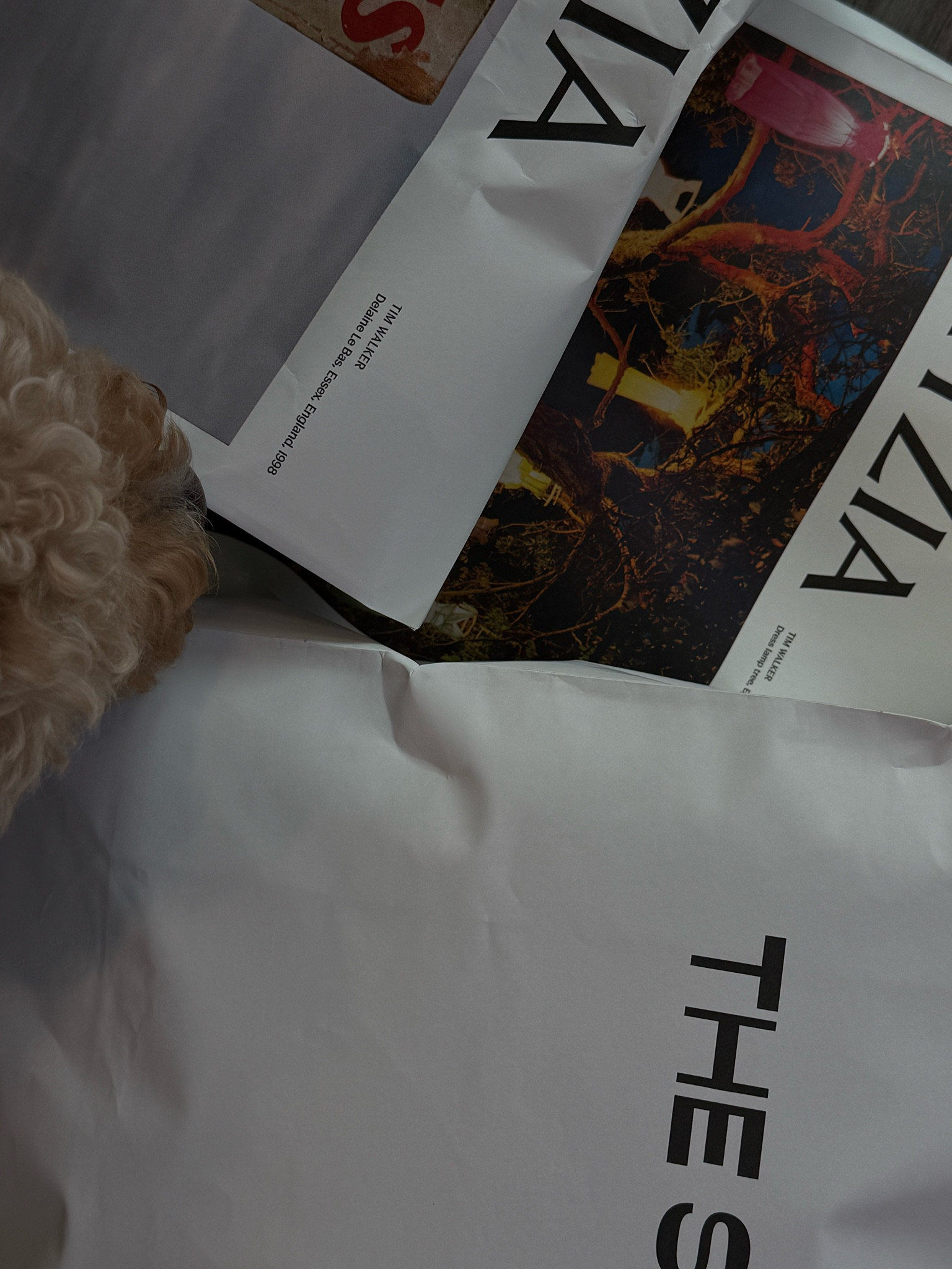 it’s officially fall here so needed to grab some essentials from @aritzia 〰️ how good is everything? #aritziapartner 

#LTKSeasonal #LTKStyleTip #LTKWorkwear