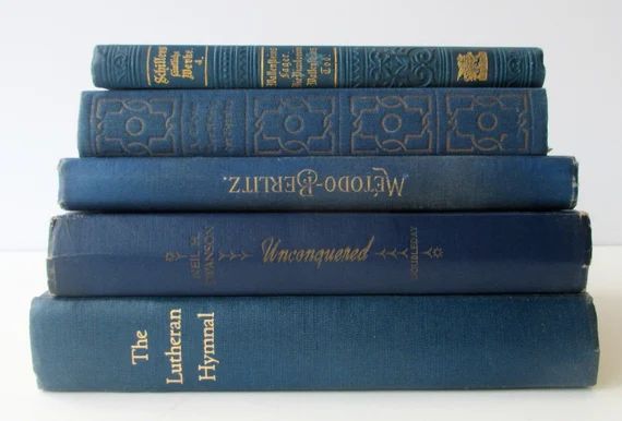 Pretty Blue Books. Decorator's Set of Vintage and Antique | Etsy | Etsy (US)