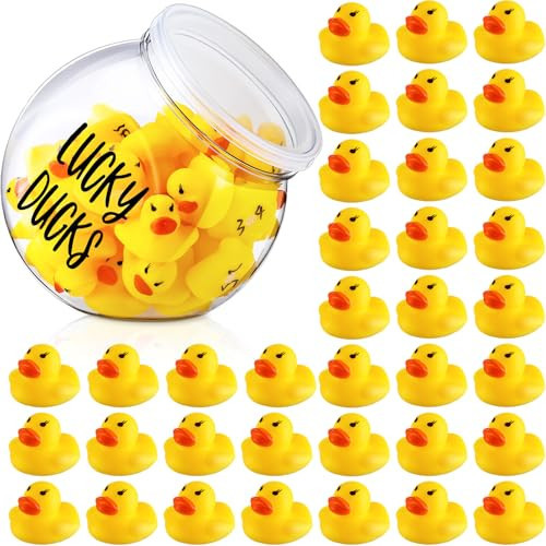 Realspring Yellow Lucky Ducks for Classroom Jar Classroom Management 36 Pcs Mini Rubber Ducks with a Pen and a Plastic Jar, Season Management Too (Style 1) | Amazon (US)