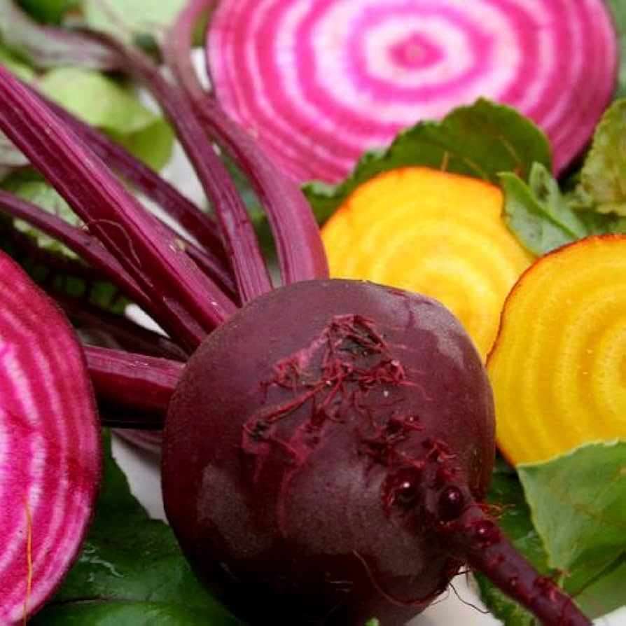 Beets Gourmet Blend Certified Organic Heirloom Seeds 100 Seeds | Amazon (US)