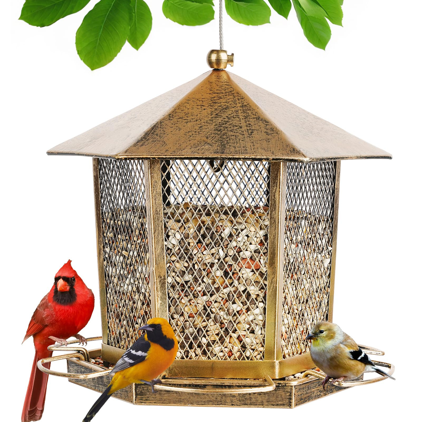 Wild Bird Feeder, Bird Feeder for Outdoors, Heavy Duty Metal Hexagonal Gazebo Wild Bird Feeders S... | Amazon (US)
