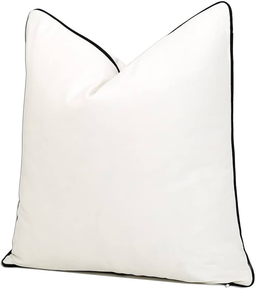 Luxury 20x20 Inch White and Black Velvet Throw Pillow Cover - Velvet with Contrast Piping, Super ... | Amazon (US)
