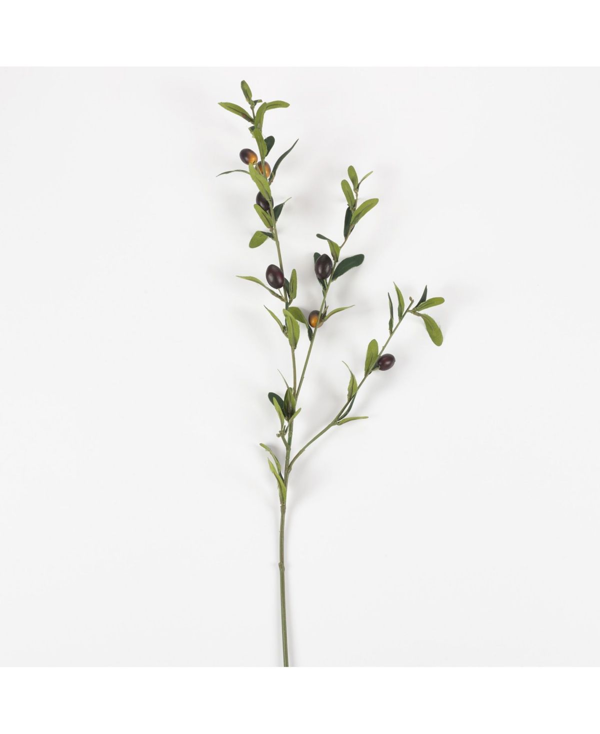 Saro Lifestyle Faux Olive Branch Stems Set of 4 | Macys (US)
