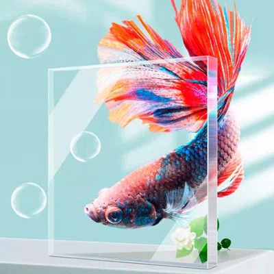 Black Minimalist Rectangular Eco Aquarium Tank | Wayfair North America