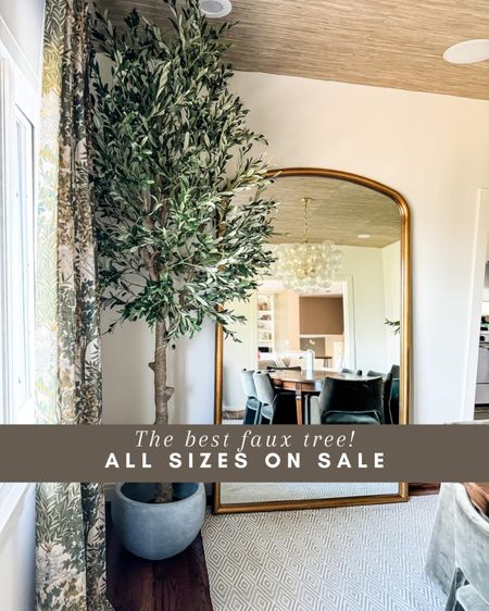 Amazon  deal! This faux olive tree is a personal favorite! I have it in our dining room. All three sizes on sale now ✨

Faux tree, olive tree, faux greenery, faux plant, dining room, entryway, living room, bedroom, office, greenery, tree, Amazon sale, sale finds, sale alert, sale, Modern home decor, traditional home decor, budget friendly home decor, Interior design, look for less, designer inspired, Amazon, Amazon home, Amazon must haves, Amazon finds, amazon favorites, Amazon home decor #amazon #amazonhome



#LTKHome #LTKSaleAlert #LTKStyleTip