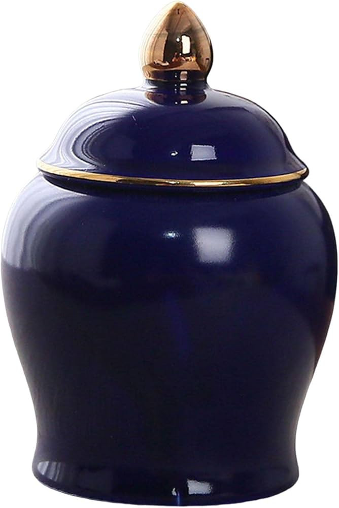 MagiDeal Small Ceramic Storage Jar 70ml Kitchen Canisters for Sugar, Spice, Coffee Beans, Seasoni... | Amazon (US)