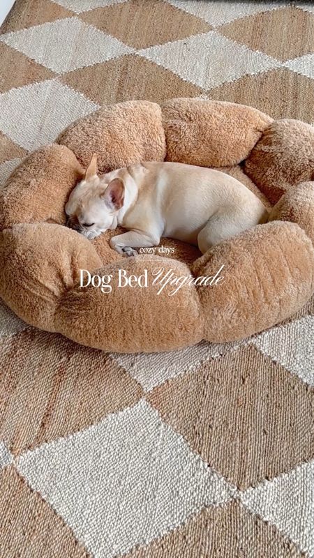 Obsessed with this boucle dog bed! 🫶🏽 I bought the large size so she can sprawl out whenever. Linked some extra dog must haves! 

#falldecor #fallhome

#LTKSeasonal #LTKsalealert #LTKhome