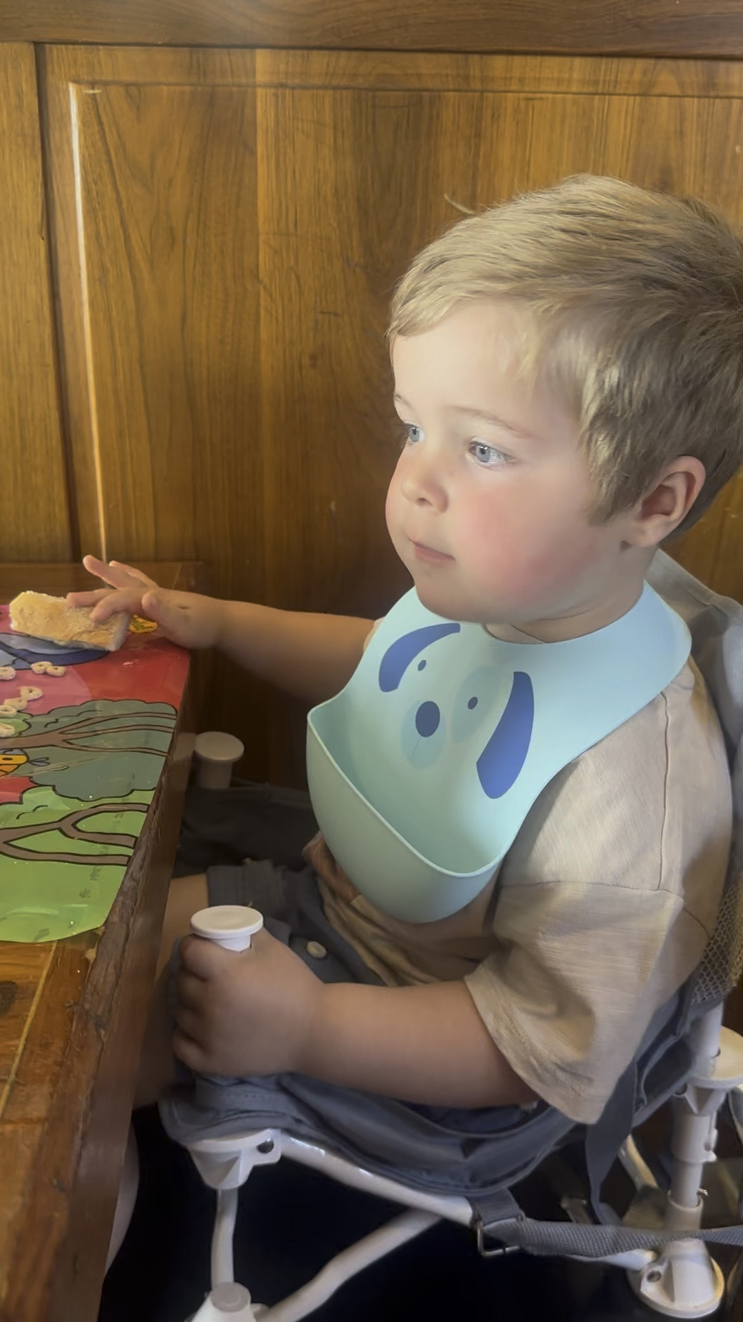 Eating out essentials with a toddler! This portable chair, bib & disposable table covers that actually stick to the table! 

#LTKkids #LTKfindsunder50 #LTKbaby