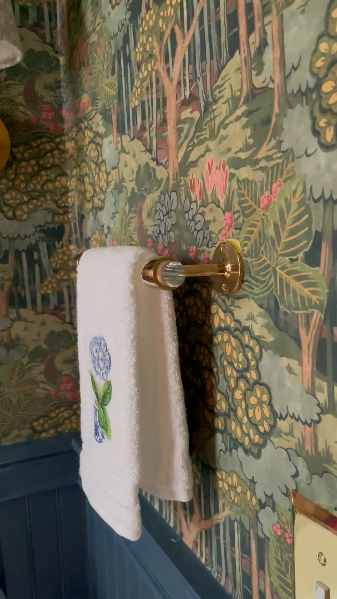 Hand Towel Rod - Powder Room (brass and lucite)

#LTKHome