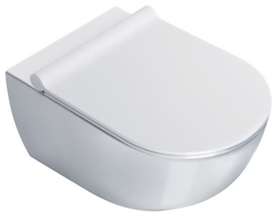 Catalano 1VSF54R00 Sfera Newflush 1-Piece Wall-hung 1.2 GPF Toilet, White | Houzz (App)