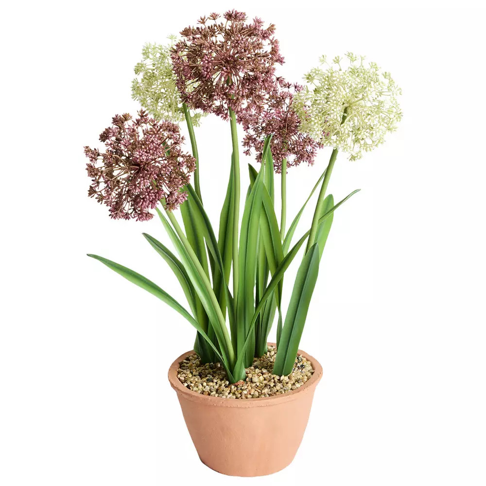 Buy Home 24 inch Tall Faux Allium Plant | Artificial flowers, plants and trees | Argos | argos.co.uk