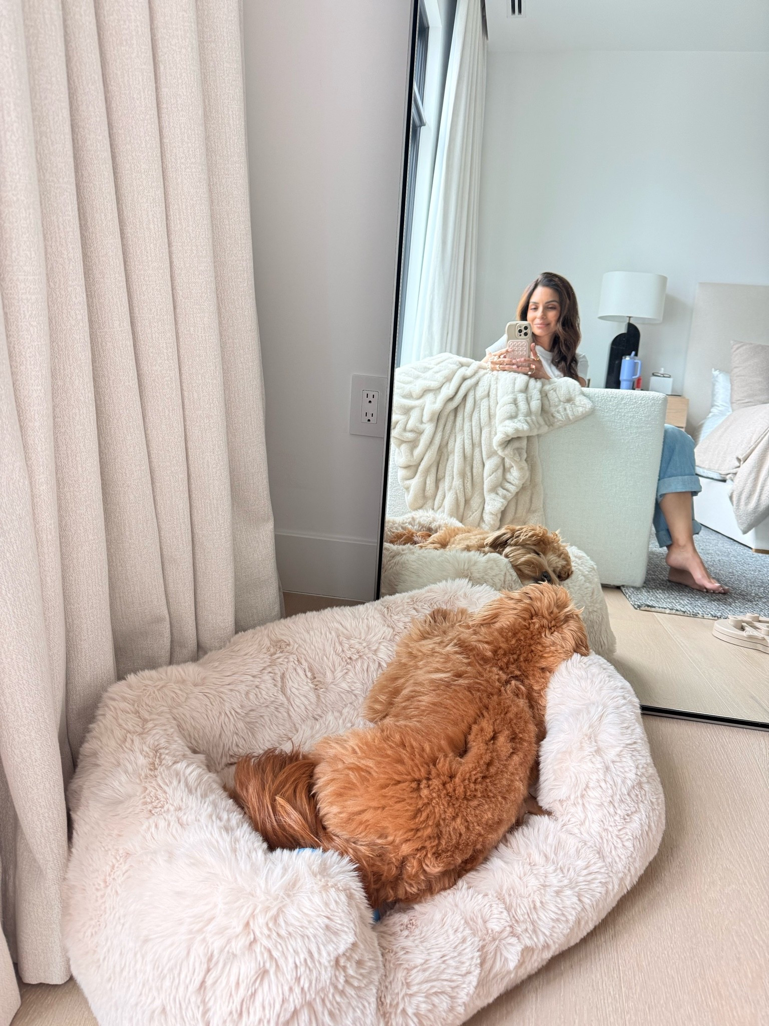 Remy's fav pet bed