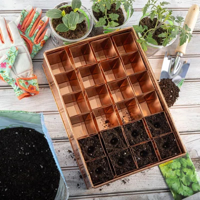 Seed Starter Tray - Copper Metal Seedling Tray with 24 Tapered Plant Starter Pots for Planting Seeds - Germination Kit for Sprouting - Greenhouse Acce | Wayfair North America