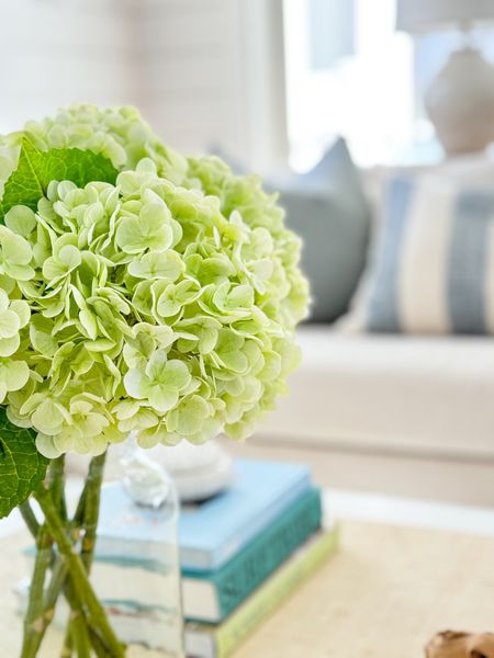 Coffee table styling details! I used my favorite faux hydrangeas (in the light green color), and a few of my favorite costal coffee table books on our raffia coffee table.
.
#ltkhome #ltkseasonal #ltkfindsunder50 #ltkfindsunder100 #ltkstyletip Amazon home decor, spring decorating ideas 

#LTKfindsunder50 #LTKSeasonal #LTKhome