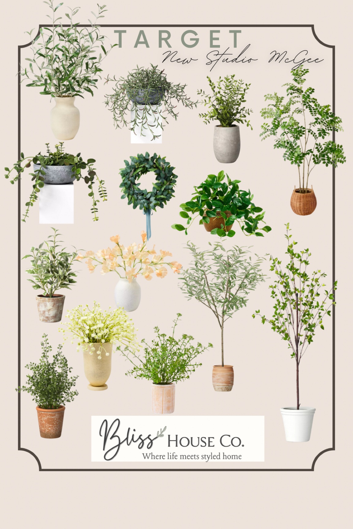 Target in studio McGee faux plants entries

#LTKhome #LTKstyletip #LTKfindsunder100