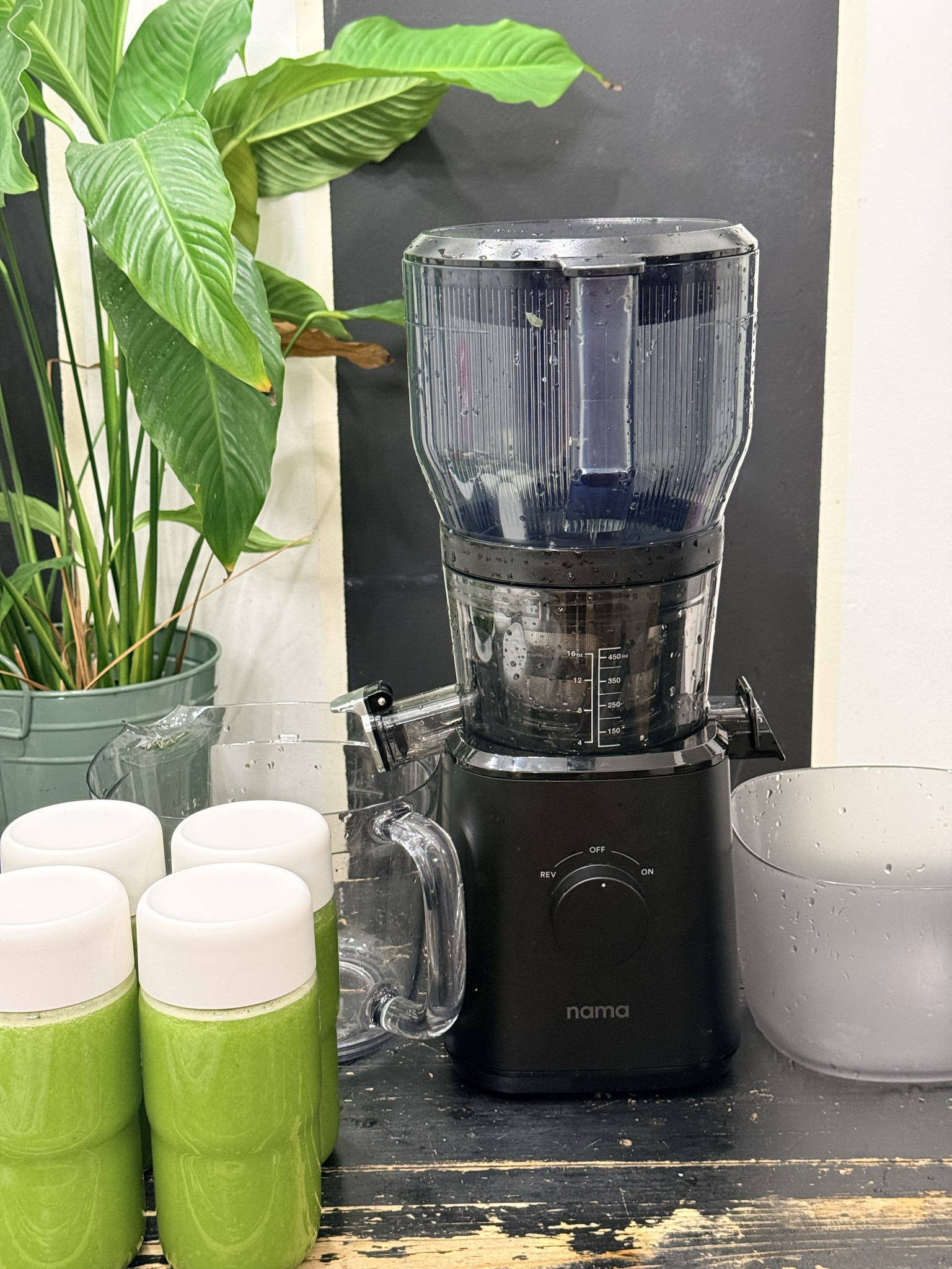 This juicer is the reason fresh juice actually fits into my busy days 🍎✨
Fast prep, smooth juice, and easy cleanup make it realistic to stay consistent — whether I’m juicing daily or batching for the week.
I linked my go-to juicer on LTK because it truly makes healthy living easier.

#juicerlife #freshjuiceathome #healthyhabits #batchjuicing #wellnessroutine #kitchenmusthave #LTKhome #LTKfinds #LTKsale #shoppingfavorites #onlineshopping #healthylifestyle #ShoppingWithPriiincesss #Atlantamom #AtlantaCreator #Atlantacontentcreators


#LTKHoliday #LTKGiftGuide #LTKdayinmylife