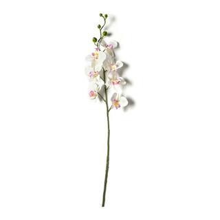 Orchid Spray by Ashland® in Cream/Pink | 25" | Michaels® | Michaels Stores