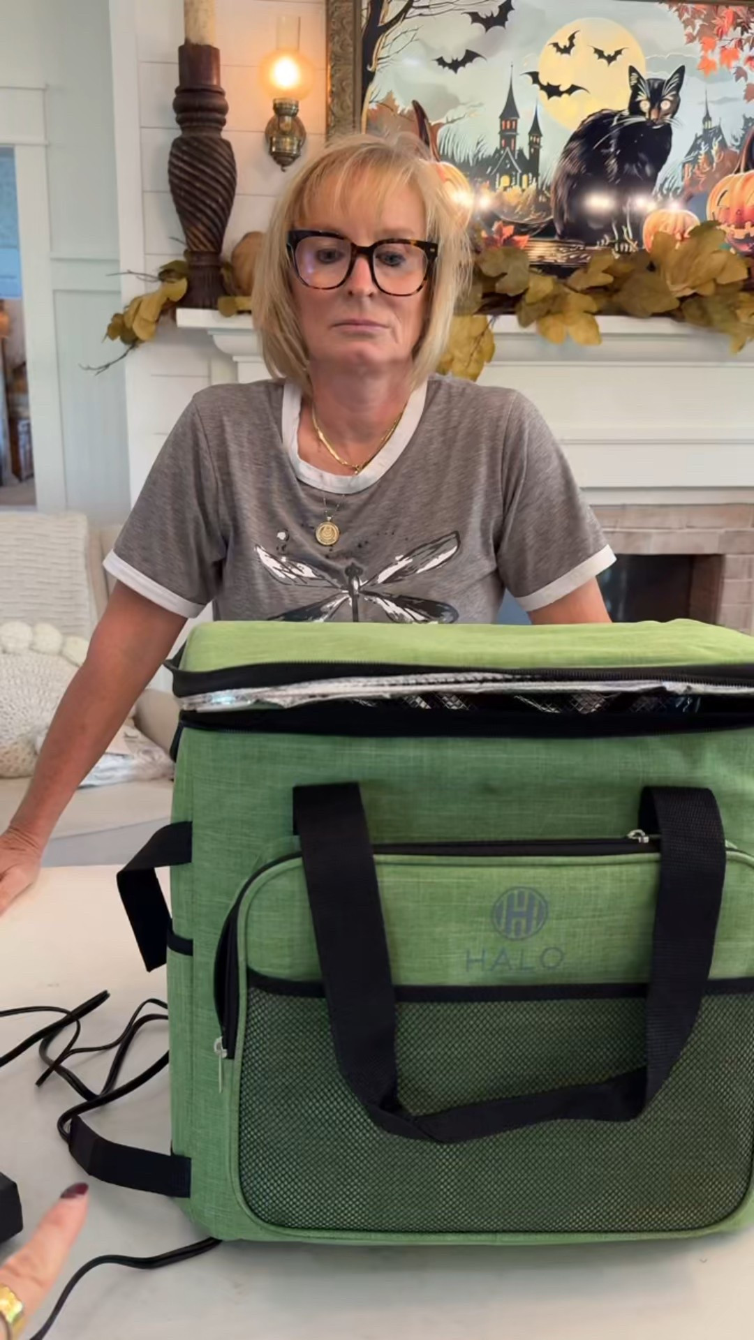 We love this heated and cooled cooler for our road trips to visit different flea markets and yard sales. It’s a must have! 

#LTKFindsUnder100 #LTKSeasonal #LTKHome