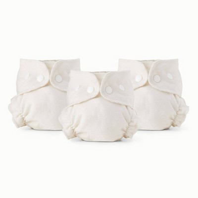 Esembly Inner Organic Cotton Reusable Infant Diaper - Size 1 - 3ct | Target