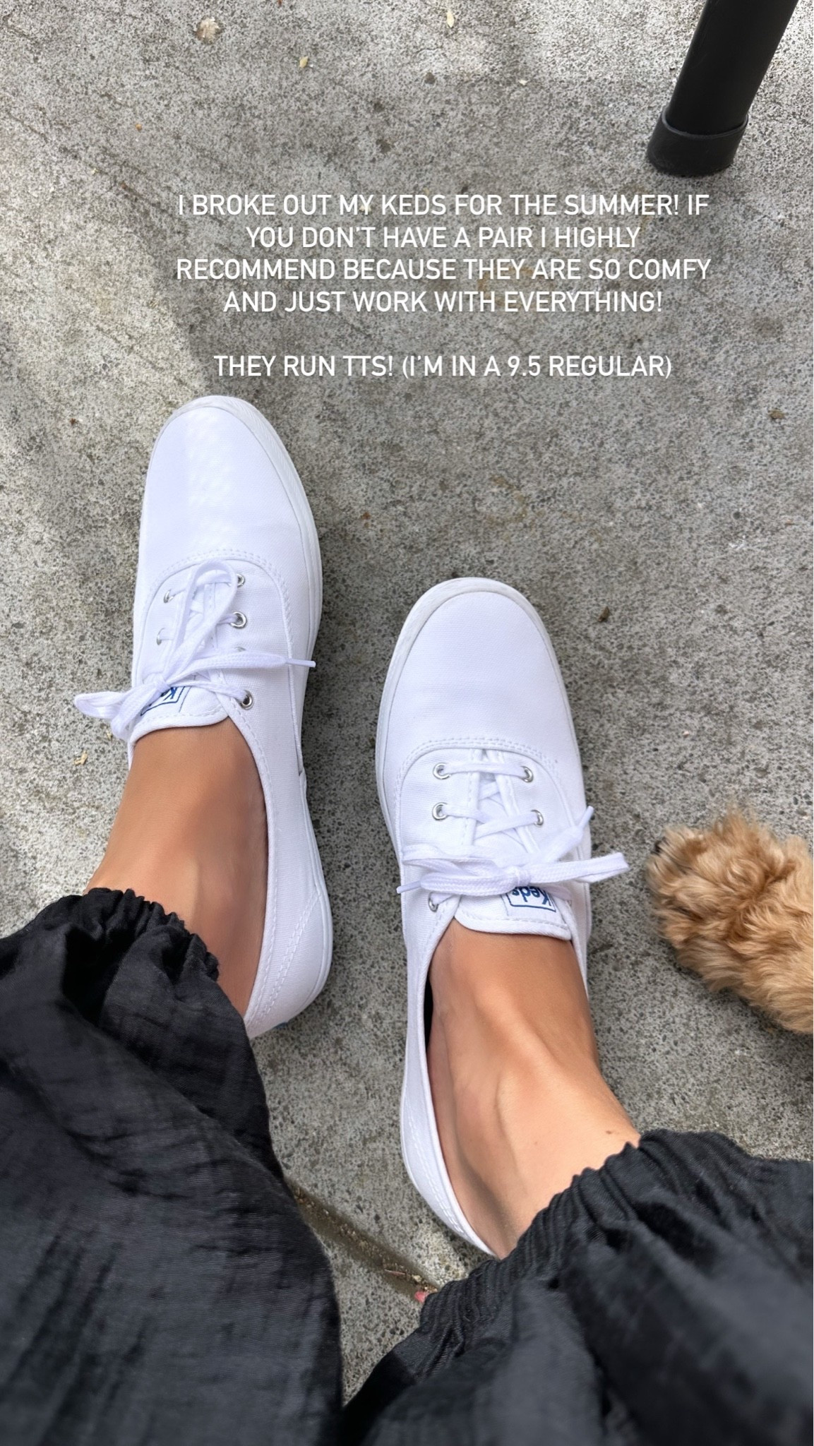 Keds Champion Sneakers - in a 9.5 medium