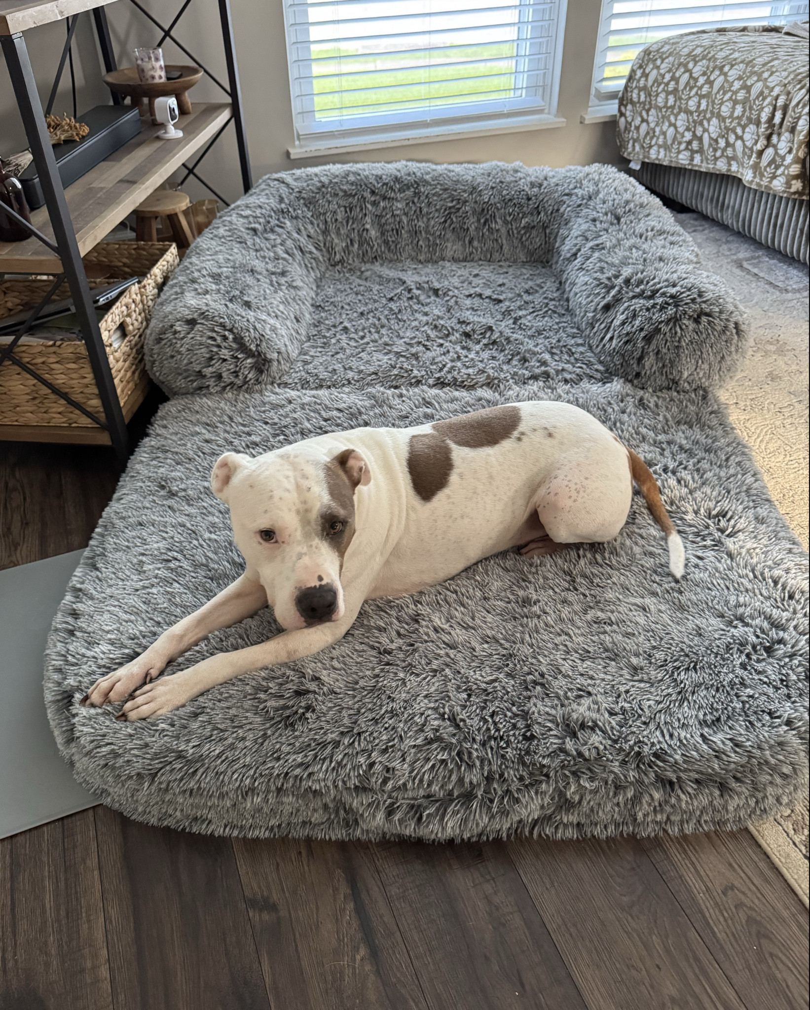 Large breed bed 
Dog bed 
Dog couch 


#LTKHome