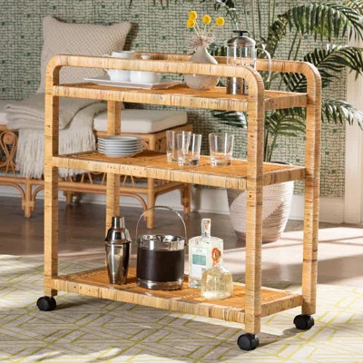 Brenita Solid Wood Rattan Bar Cart | Wayfair North America