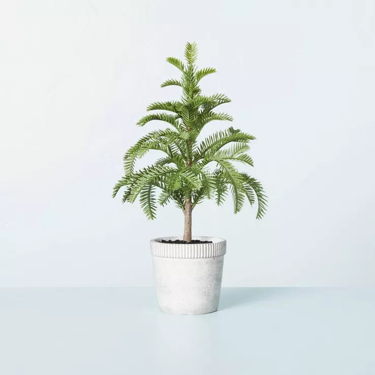 Faux Balsam Fir Tree in Washed Cement Pot - Hearth & Hand™ with Magnolia | Target