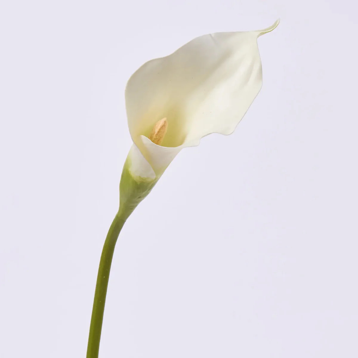 Elegant White Real Touch Calla Lily Bloom Single Stem Faux Floral Spray - 21" | Darby Creek Trading