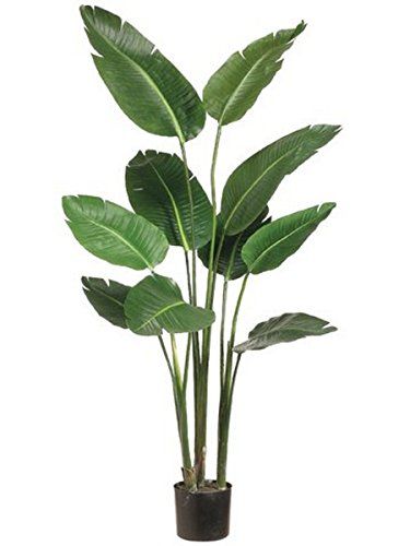 One 5 foot Artificial Silk Bird of Paradise Palm Tree Potted Plant | Amazon (US)