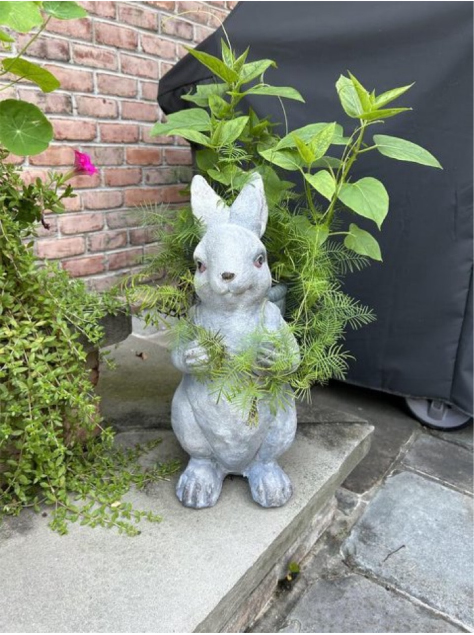 BUNNY WITH BASKET STATUE 
16” Tall
🤍
Easter Decor, Easter Outdoor Decor, Bunny Figurines, Easter Decorations

#LTKSeasonal #LTKsalealert #LTKhome
