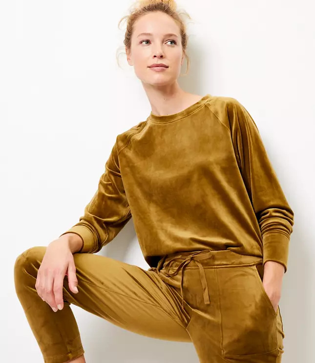 Lou & Grey Velour Sweatshirt | LOFT