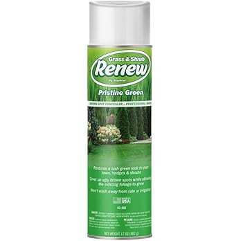 Amazon.com: Seymour RENEW Grass and Shrub (Pristine). 1 - 17oz. Can. : Patio, Lawn & Garden | Amazon (US)