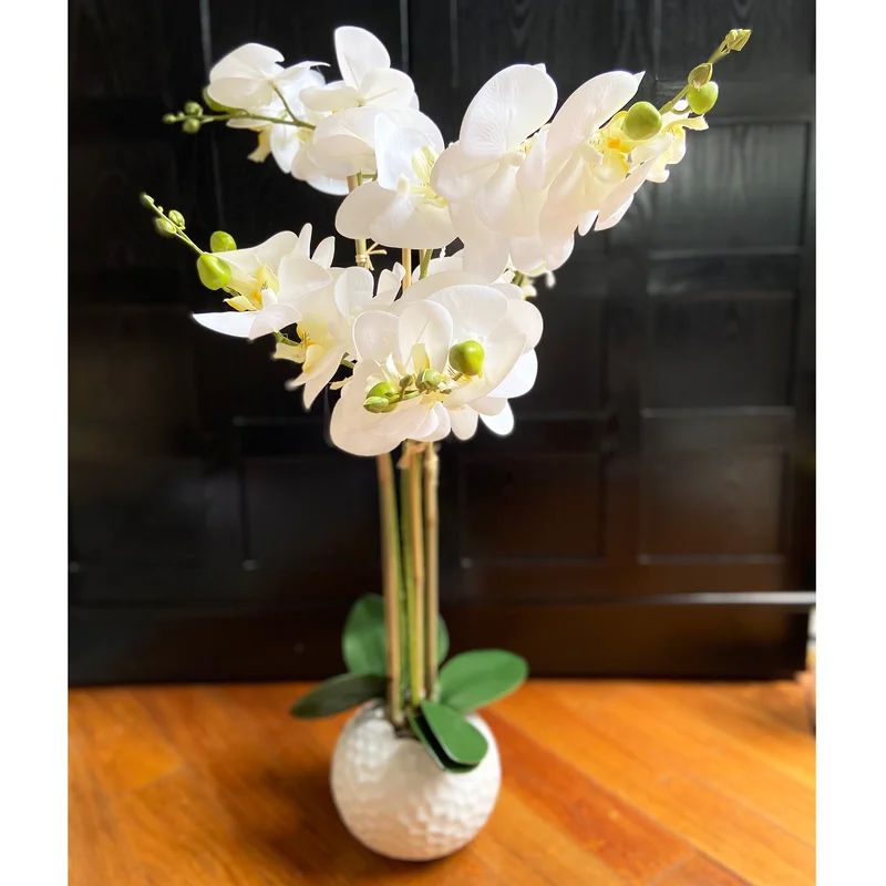 Orchids Floral Arrangement in Pot | Wayfair North America