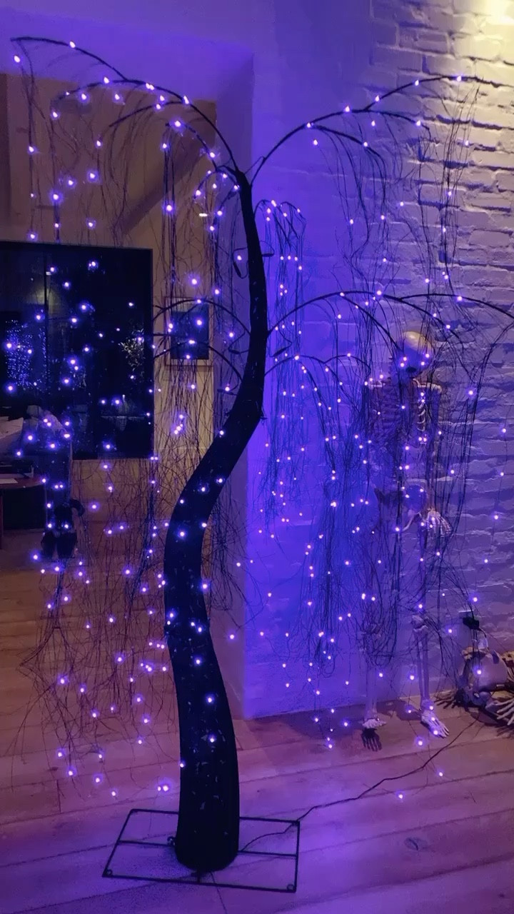 My favorite Halloween trees are back in stock, so linking them here

#LTKVideo