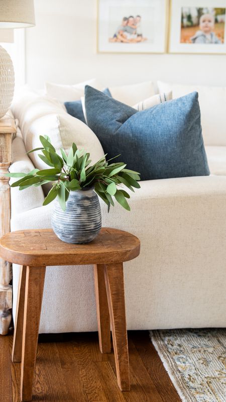 Would Accent table, decorative vase, and artificial plants for your living room, coastal style home decor

#LTKFamily #LTKHome