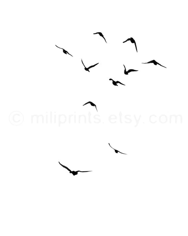 2 Bird Drawings Set of Bird Prints Seagull Prints Set of 2 | Etsy | Etsy (US)
