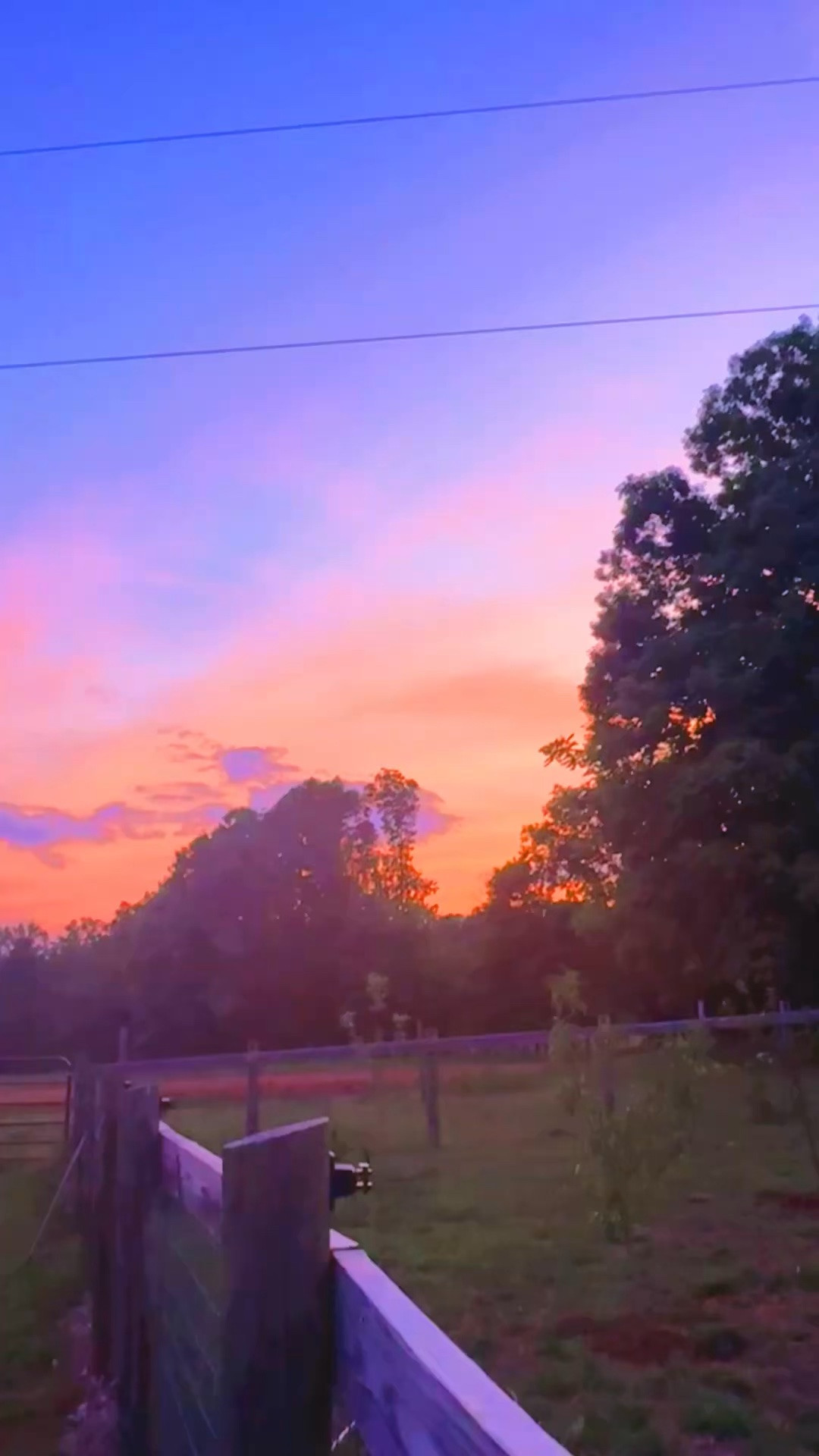 And look how beautiful 🤩 the sunset 🌅 was over the orchard 🌳 of apple 🍎, plum 💜, and peach 🍑 trees 🌱 we just planted 🪏- makes me so so happy!!! 🥰